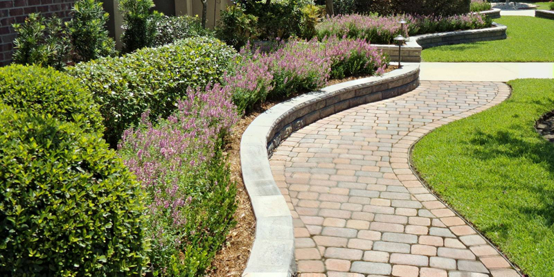 Palm hardscape