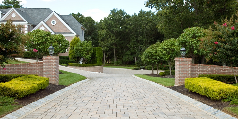 Palm hardscape